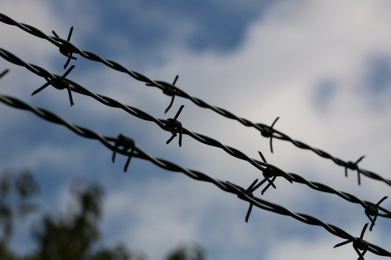 Barbed Wire